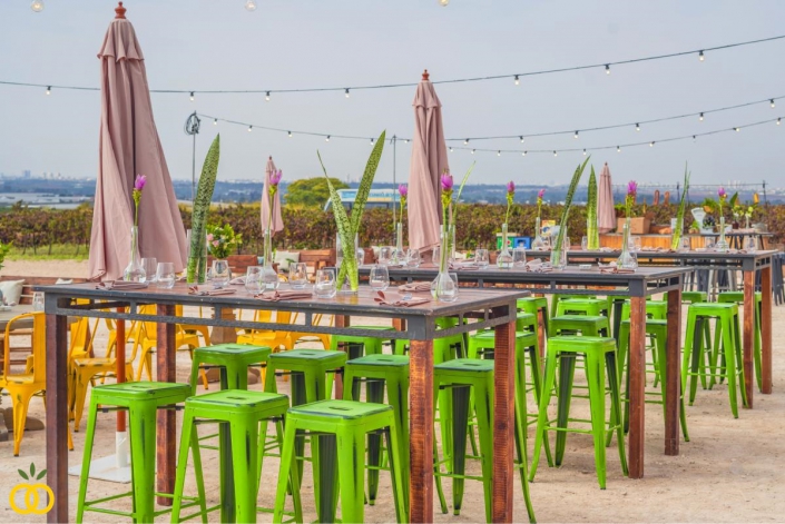 חתונה בכרם במרכז הארץ