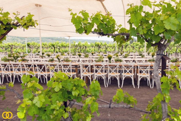 חתונה מיוחדת בטבע