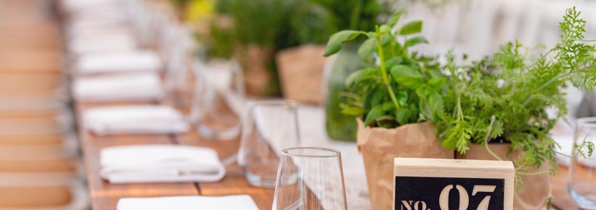 חתונה כפרית בטבע בכרם