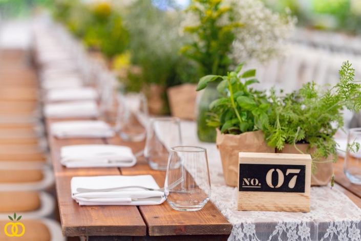 חתונה כפרית בטבע בכרם