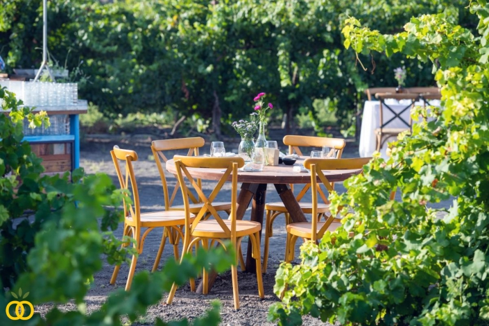 הפקת חתונה בכרם ענבים