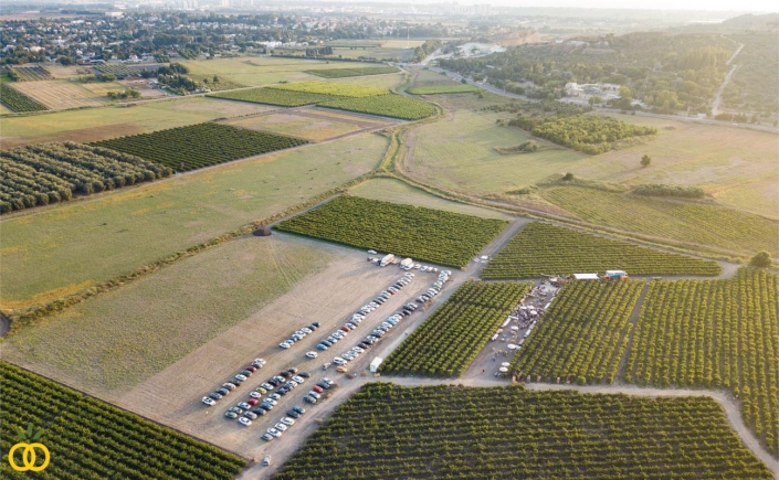 הפקת חתונה בכרם בצפון