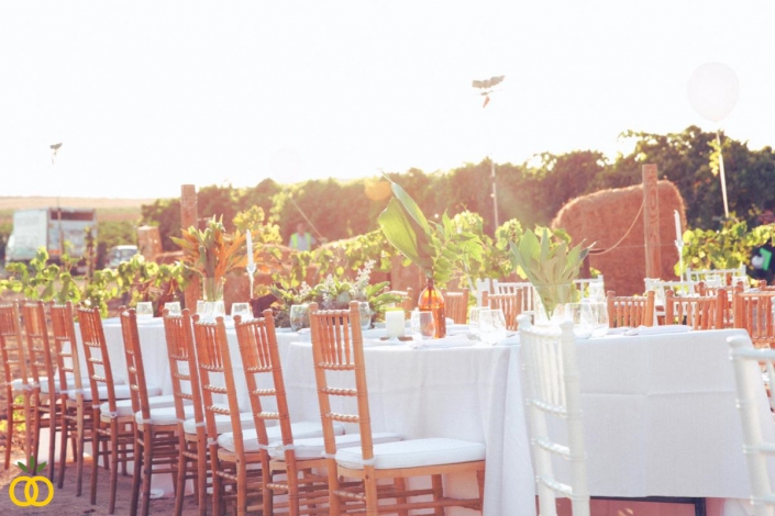 הפקת חתונה בטבע