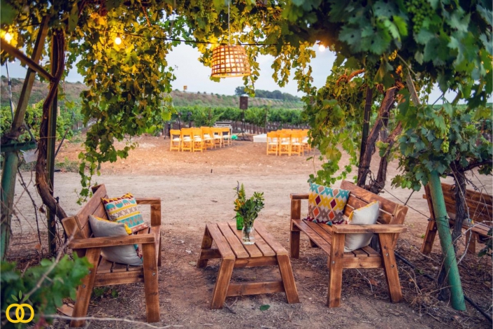 חתונה בכרם הפקת אירועים