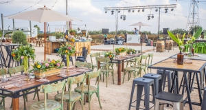 חתונה בכרם ענבים חתונה בטבע בלב הכרם