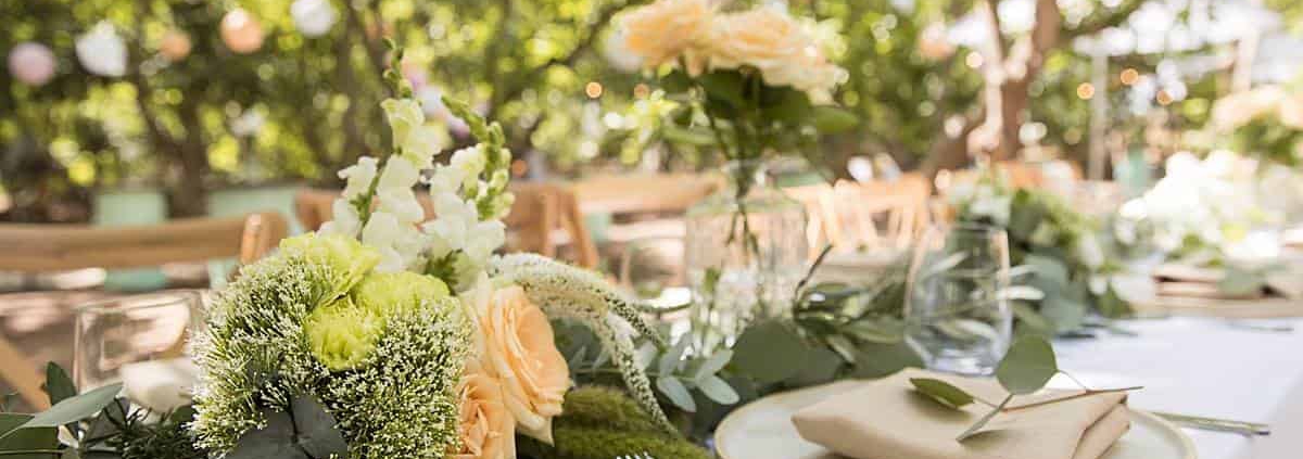 חתונה בטבע בלום הפקות